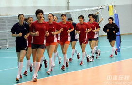 中国女子排球队赛前训练（中国女子排球队赛前训练图片）