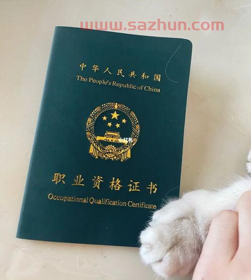 足球专业教练证（足球教练证考取条件）