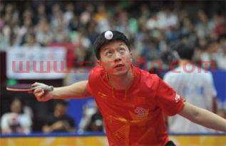 国家乒乓球队樊辰东年龄（国家乒乓球运动员樊振东）
