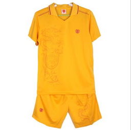 中国排球队穿的队服牌子（中国队排球运动服价格）