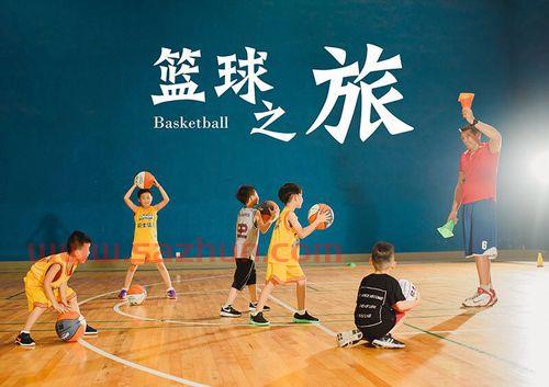 国内篮球教练培训机构（国内篮球教练培训机构有哪些）