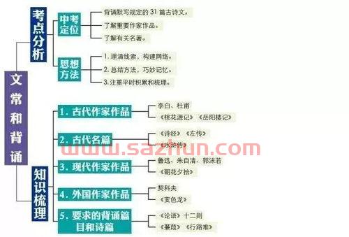中国排球队思维导图（中国排球队员名单图片）
