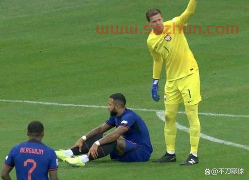 世界杯2022几个国家