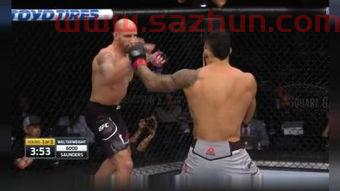ufc无限制格斗