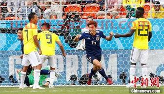 世界杯2022球队数量