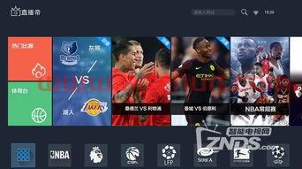 中超比赛直播视频免费直播网站