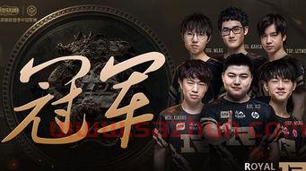 15年msi*赛战绩