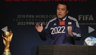 2022年在哪个国家举办世界杯赛