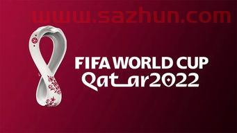 2022卡塔尔世界杯门票